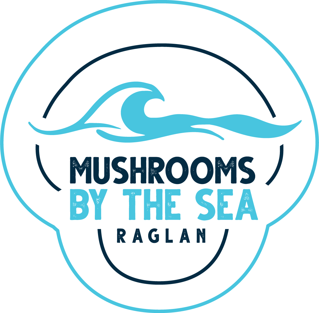 instructions-mushrooms-by-the-sea