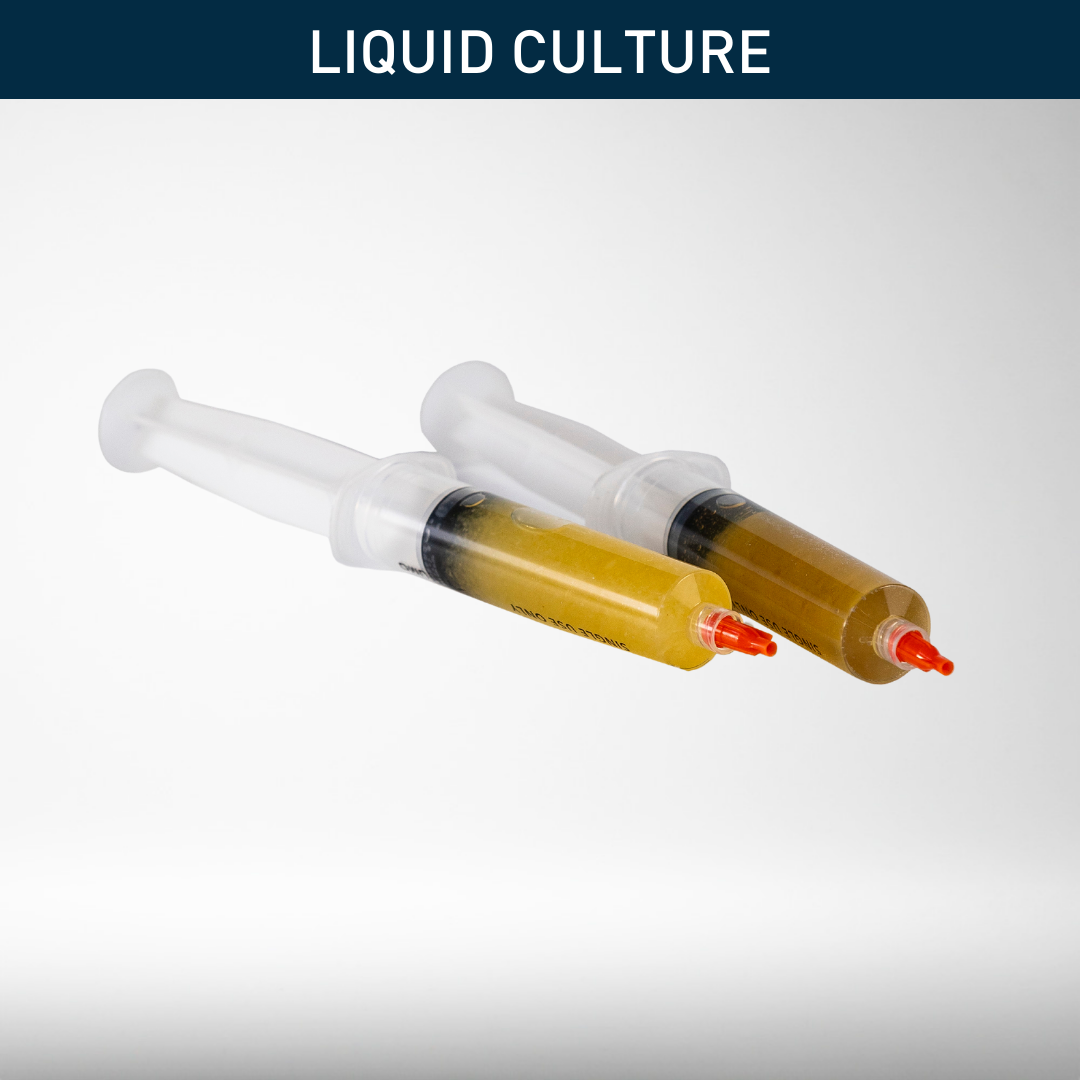 Mushroom Cultures | Liquid