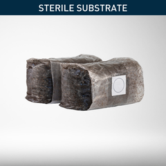 Bulk Substrate | Ready-to-Inoculate