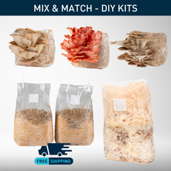 DIY Grow Kit - Bundle