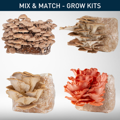 Grow Kit | Bundle